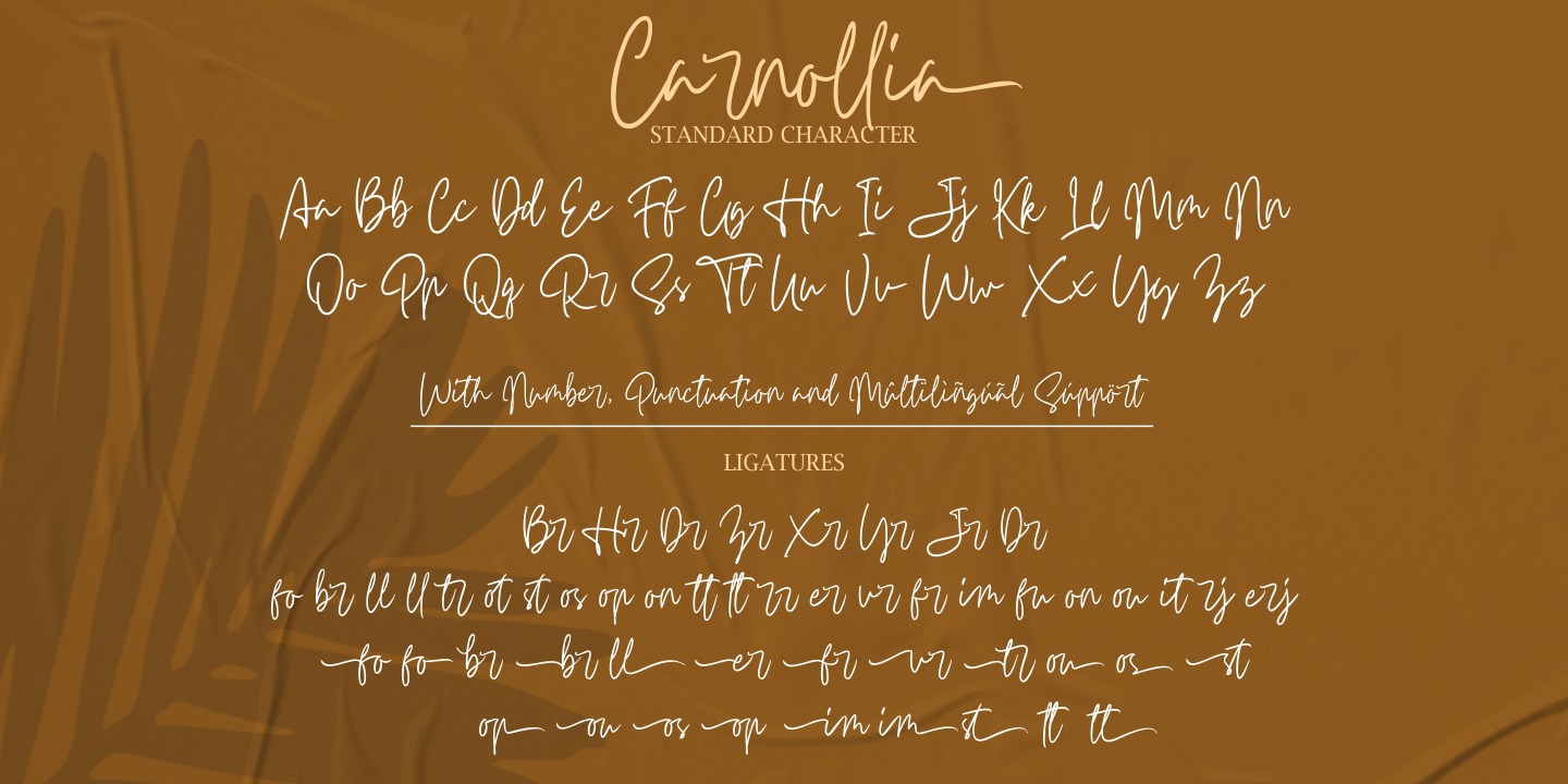 Carnollia Signature